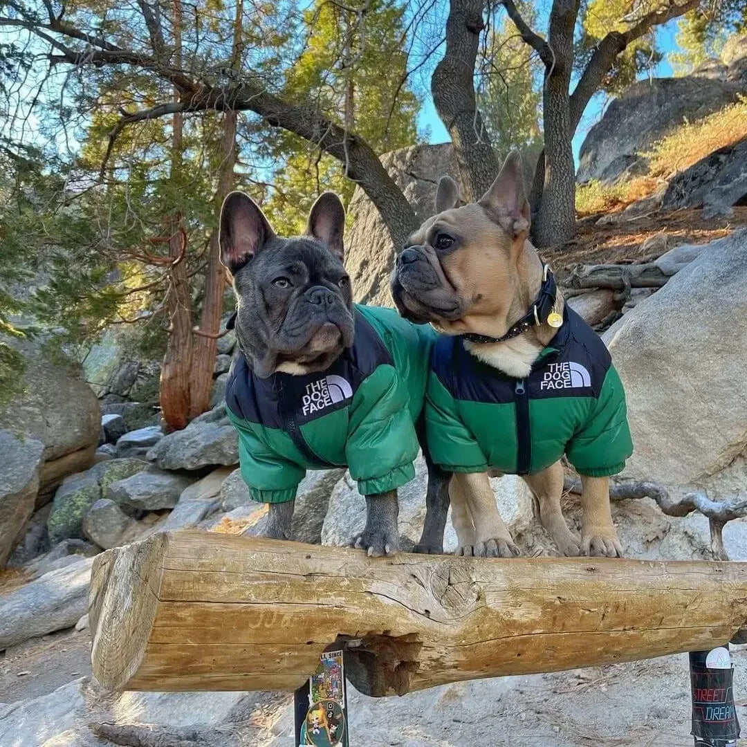 Dog Puffer Jacket - Image 3